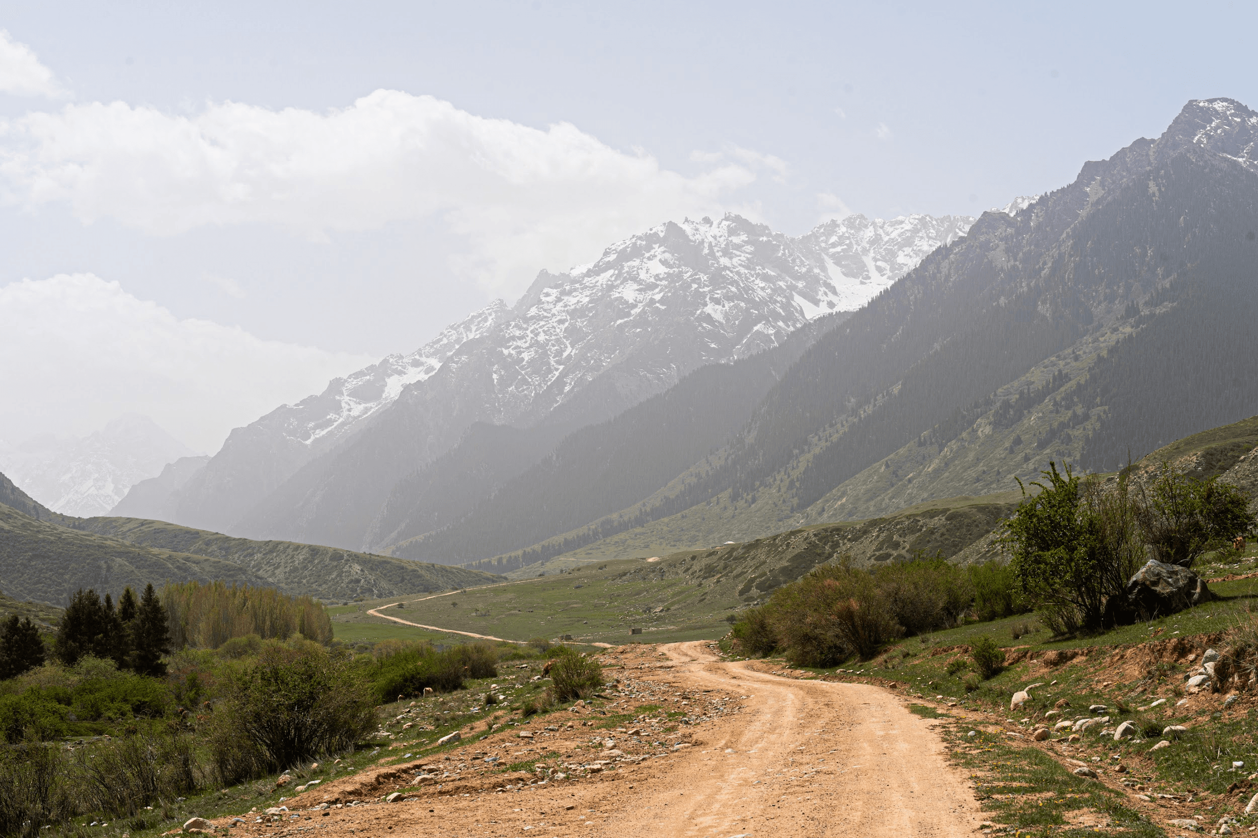 Аренда автодомов